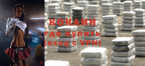 винт Богданович
